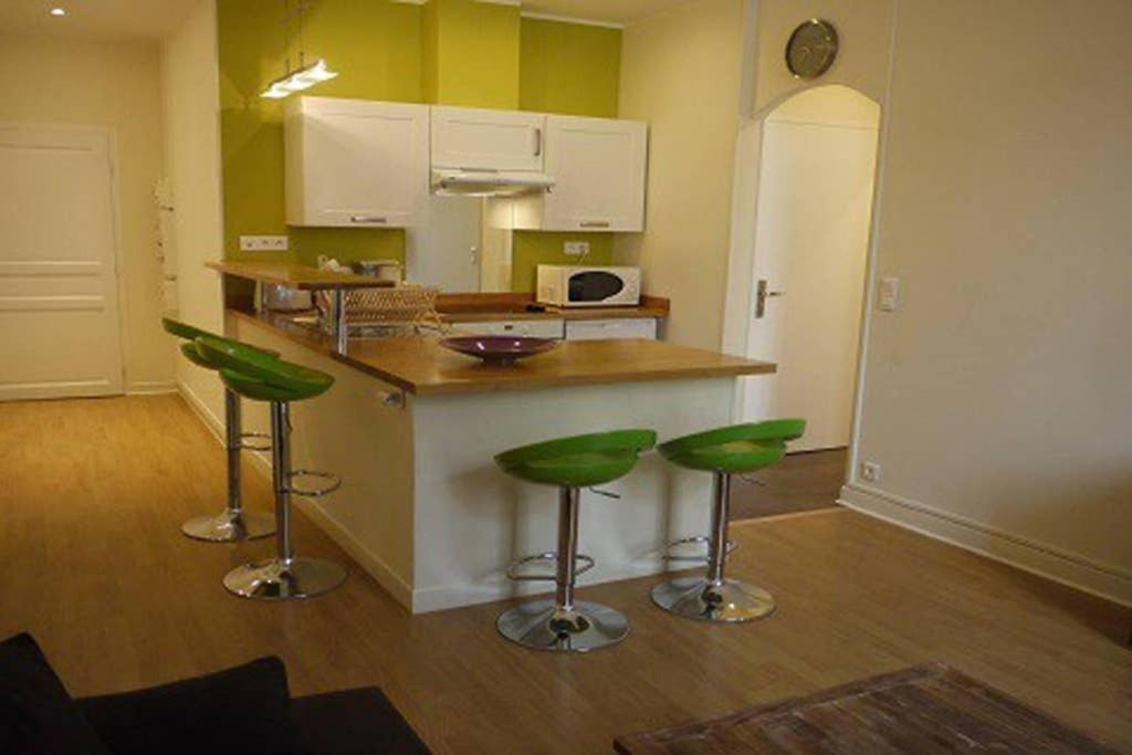Barla 3 - A Spacious One Bedroom Near Place Garibaldi Appartamento *