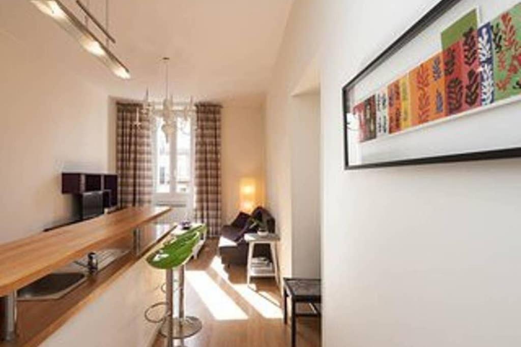 Barla 3 - A Spacious One Bedroom Near Place Garibaldi Nice